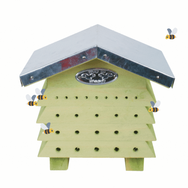 Beehive Bee House
